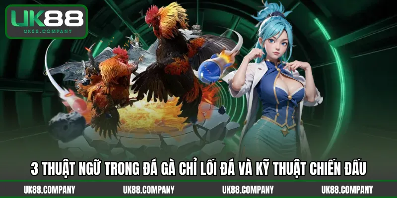 3 thuật ngữ trong đá gà chỉ lối đá và kỹ thuật chiến đấu