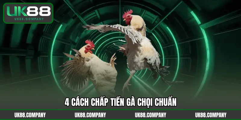 4 cách chấp tiền gà chọi chuẩn