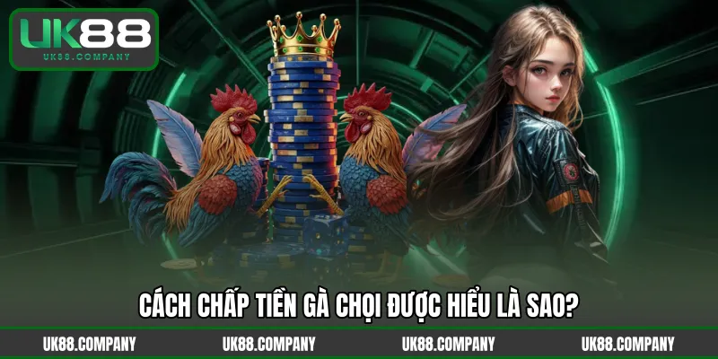 Cách chấp tiền gà chọi được hiểu là sao?