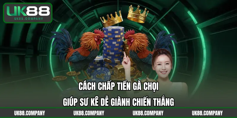 Cách Chấp Tiền Gà Chọi Giúp Sư Kê Dễ Giành Chiến Thắng