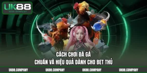 Cách Chơi Đá Gà Chuẩn Và Hiệu Quả Dành Cho Bet Thủ