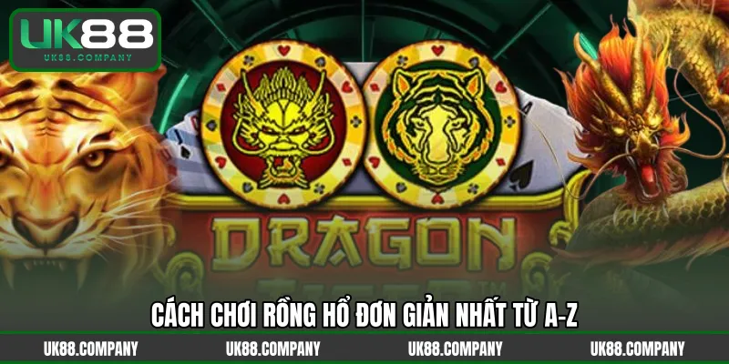 Cách chơi Rồng Hổ đơn giản nhất từ A-Z