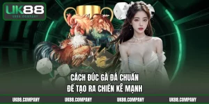 Cách Đúc Gà Đá Chuẩn Để Tạo Ra Chiến Kê Mạnh