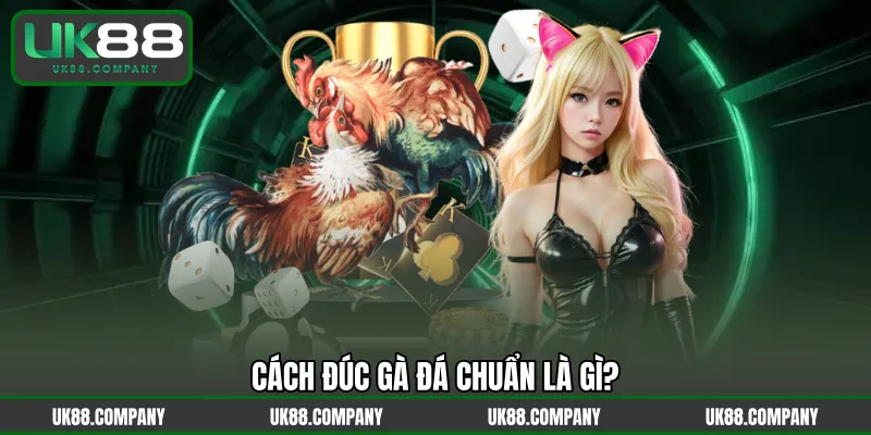 Cách đúc gà đá chuẩn là gì?