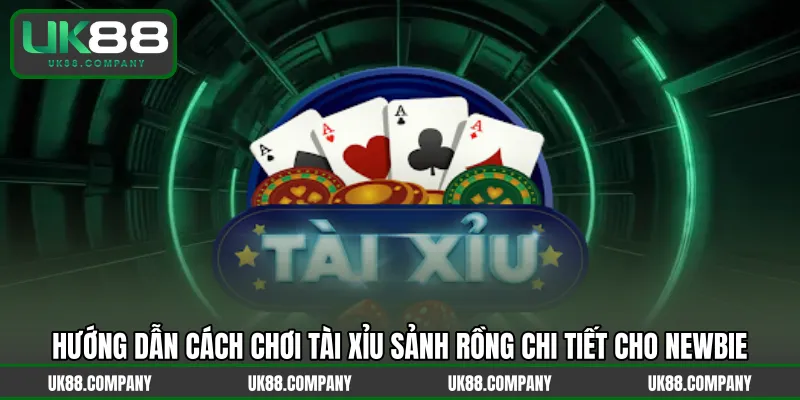 Hướng dẫn cách chơi Tài Xỉu Sảnh Rồng chi tiết cho newbie