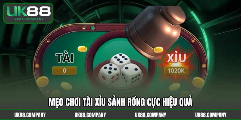 Mẹo chơi Tài Xỉu Sảnh Rồng cực hiệu quả