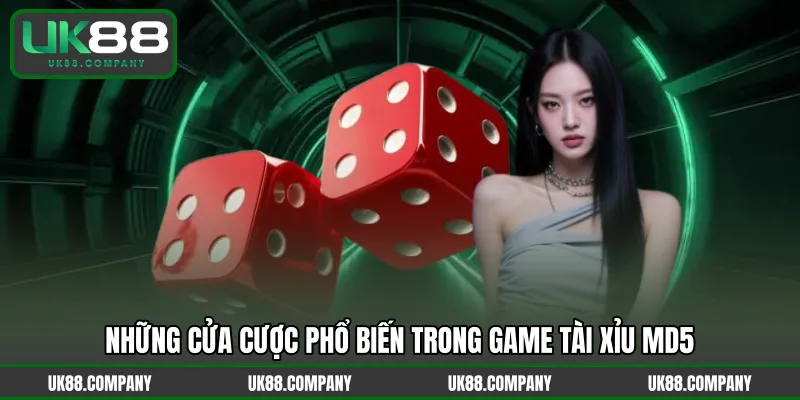 Những cửa cược phổ biến trong game Tài Xỉu MD5