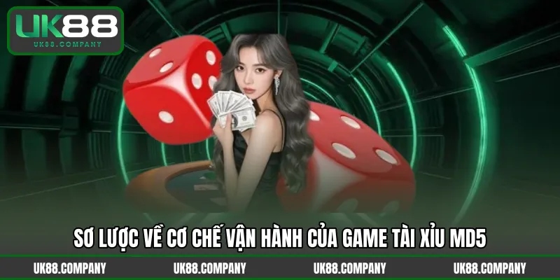 Sơ lược về cơ chế vận hành của game Tài Xỉu MD5