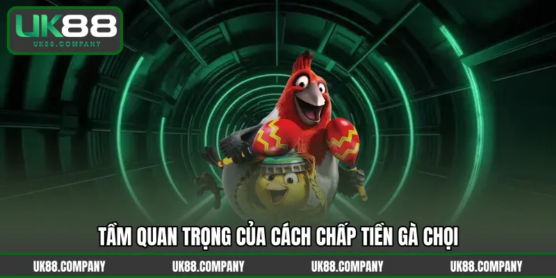 Tầm quan trọng của cách chấp tiền gà chọi 