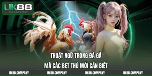 Thuật Ngữ Trong Đá Gà Mà Các Bet Thủ Mới Cần Biết
