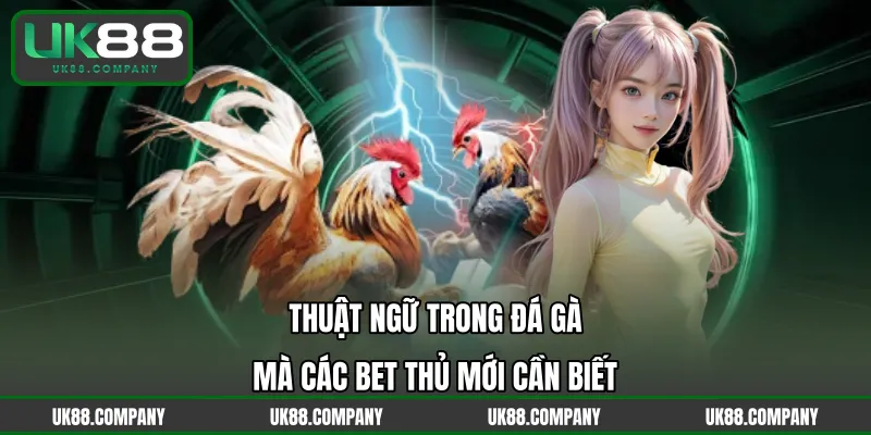 Thuật Ngữ Trong Đá Gà Mà Các Bet Thủ Mới Cần Biết