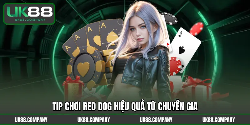 Tip chơi Red Dog hiệu quả từ chuyên gia