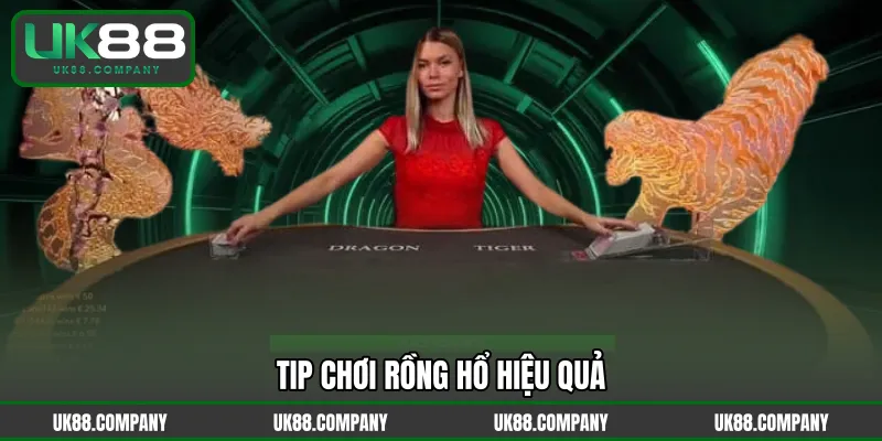 Tip chơi Rồng Hổ hiệu quả