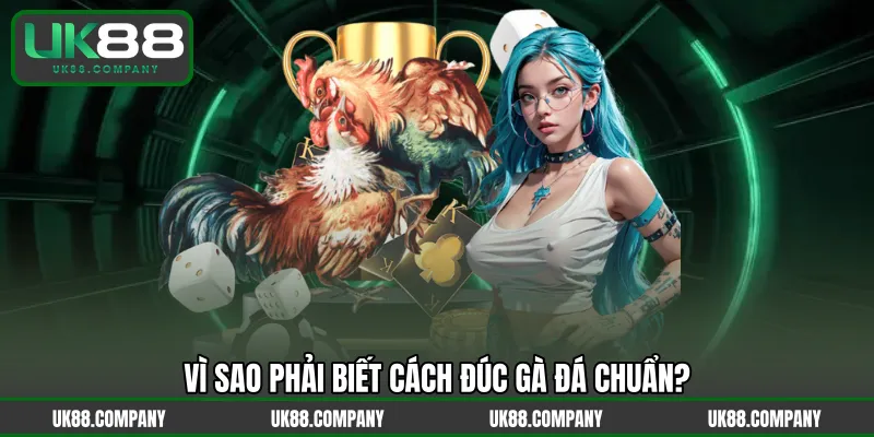 Vì sao phải biết cách đúc gà đá chuẩn?